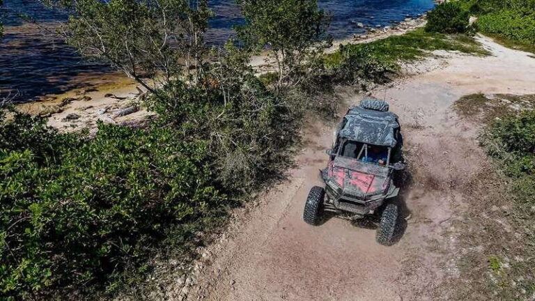 Cozumel Razor Expeditions: Jungle & Beach getaway - Cultural Tastings: Chocolate, Fajitas, and Tequila