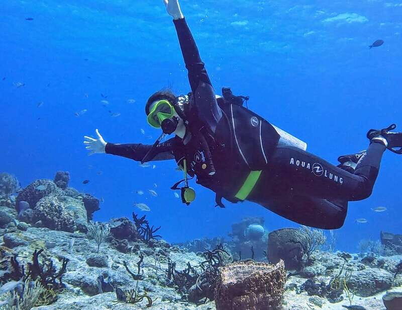 Cozumel Scuba Diving: 2 Tanks in the National Park for certified divers - The Itinerary in Focus