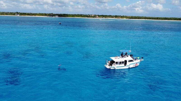 Cozumel: Two reef dives in Marine Park, certified divers - What to Expect on the Tour