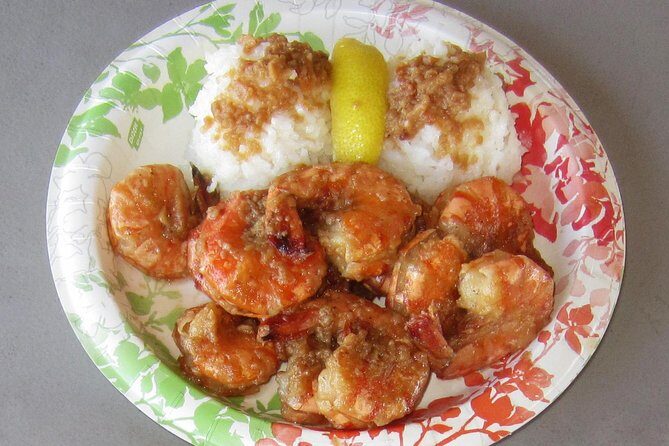Custom Island Tour - for 4 to 5 people - up to 8 hours - Private tour of Oahu - What Travelers Say About Their Guides