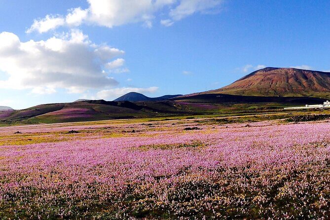 Customized Private Tours of Lanzarote island - A Closer Look at the Itinerary