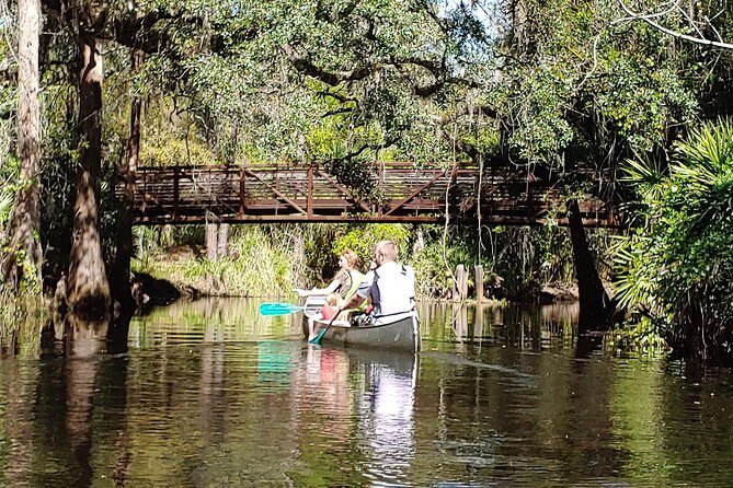 Cypress Forest: Guided Nature Kayak Eco-Tour - Why the Tour Delivers Value