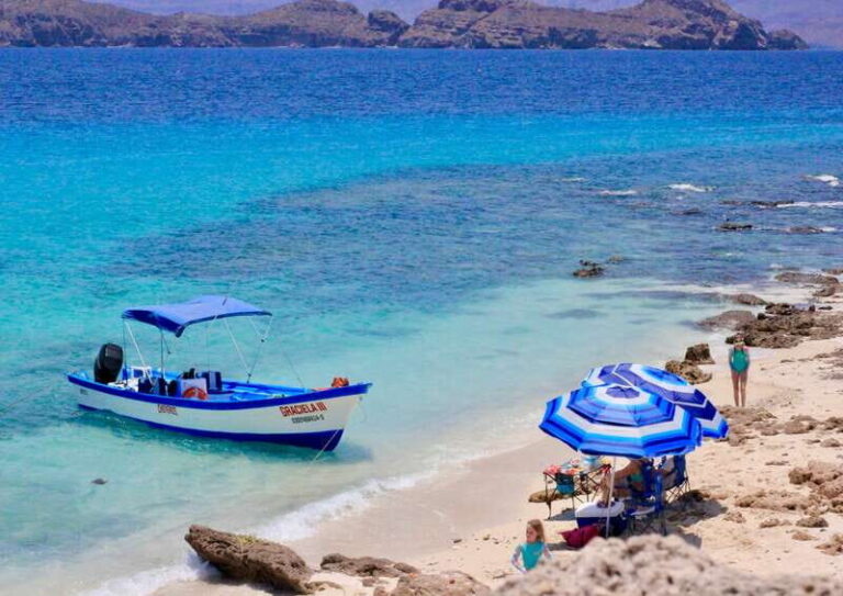 Danzante Island & Snorkel Tour from Villa del Palmar Hotel - Pricing and Value