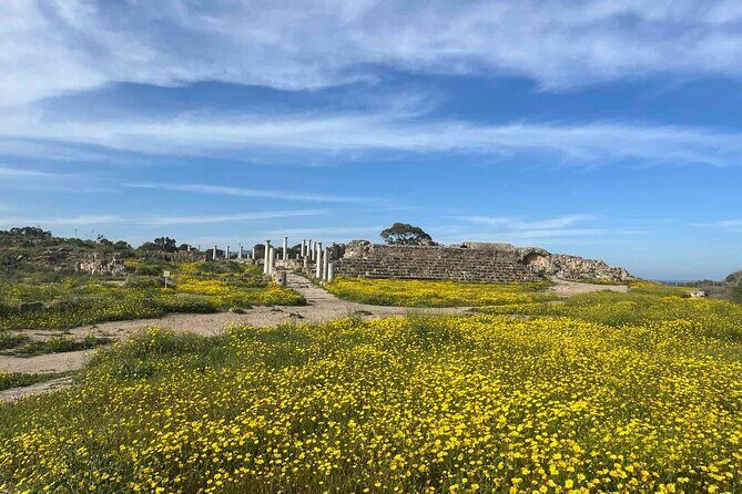 Day Tour to Famagusta, Ghost Town & Ancient Salamis - Why This Tour Offers Great Value