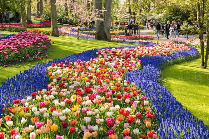 Day Trip to Keukenhof Gardens from Amsterdam with Tour Guide - Transportation and Logistics: How Easy Is It?