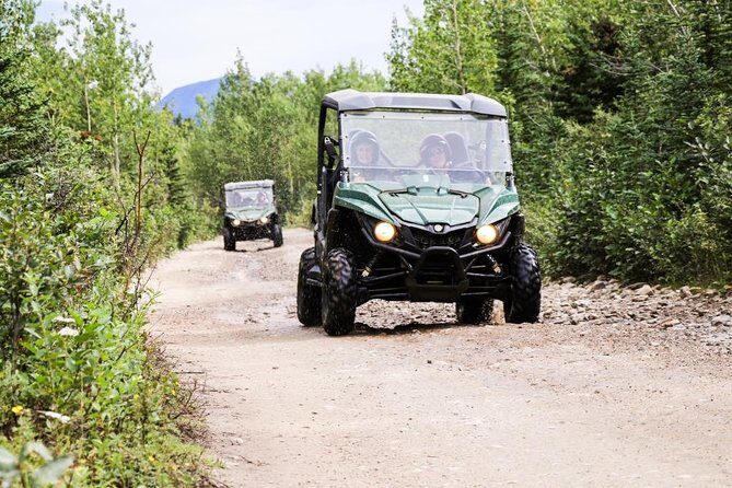 Denali ATV Trailblazer 3.5 Hour Tour - Final Thoughts: Is It Worth It?