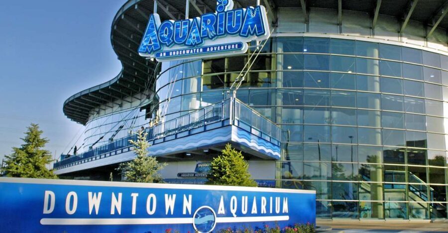 Denver: Downtown Aquarium All-Day Pass