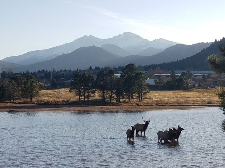Denver: Rocky Mountain National Park Tour with Picnic Lunch - Transportation & Group Size: Comfort & Personalization