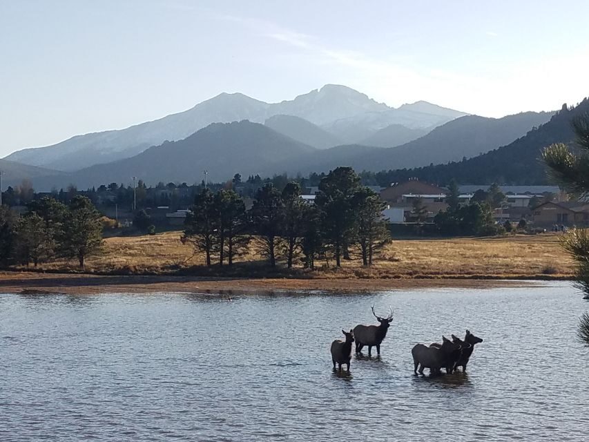 Denver: Rocky Mountain National Park Tour with Picnic Lunch - Transportation & Group Size: Comfort & Personalization