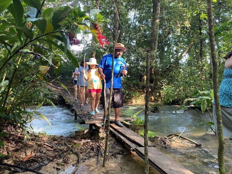 Desde Palenque: Rafting, Caminata en Selva Y Bonampak - What’s Included and How it Adds Value