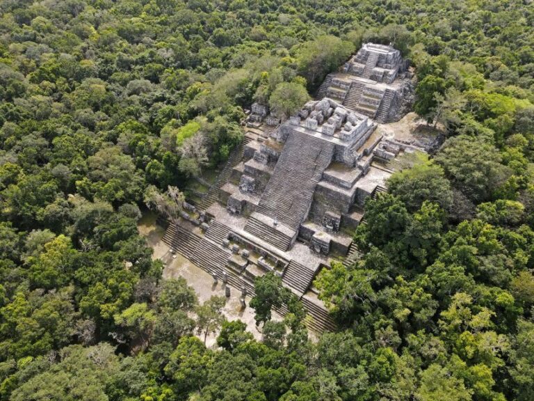 Desde Palenque: Zona Arqueológica Calakmul - An In-Depth Look at the Calakmul Tour