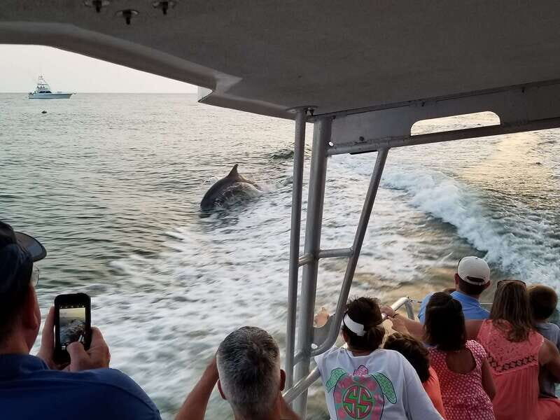 Destin: Snorkeling Cruise with 2 Stops and Dolphin Watching