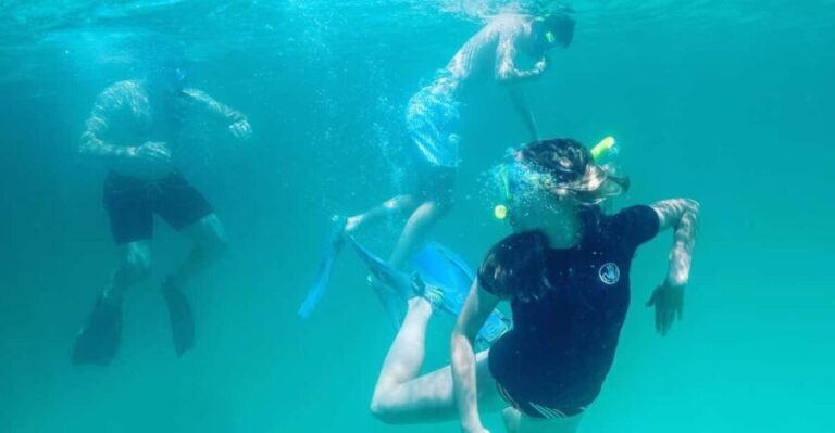 Destin: Snorkeling, Dolphins, and Crab Island - What to Expect: A Day of Custom Water Fun