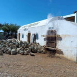 Destino Tequila: Experiencia Premier Privada - Who This Tour Is Best For