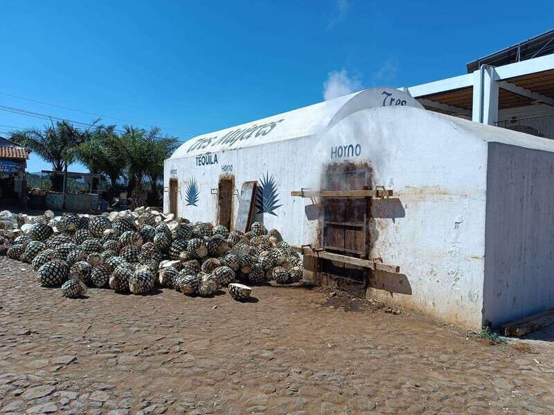 Destino Tequila: Experiencia Premier Privada - Who This Tour Is Best For