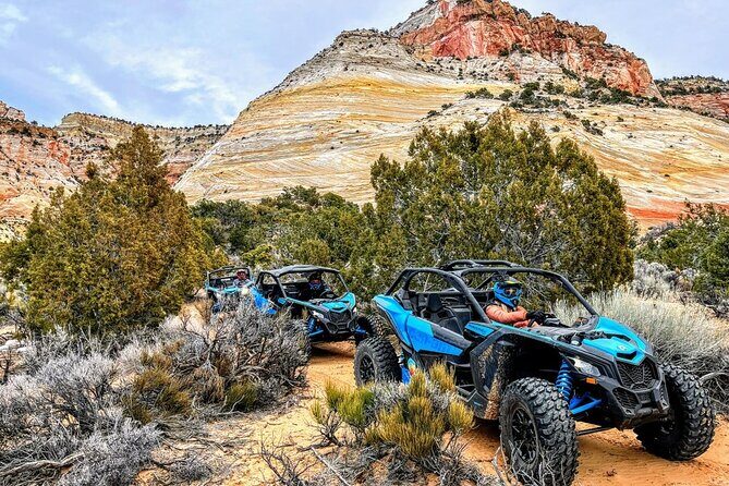 Diana's Throne UTV Adventure Near Zion National Park - Practical Tips for Future Riders