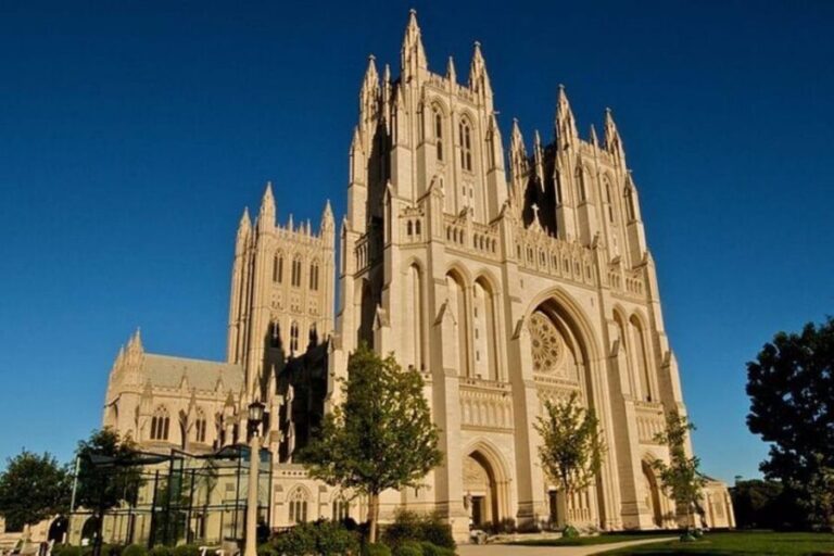 Discover D.C.'s Hidden Gems on a Private "Tour of Contrasts" - Practical Details and Value