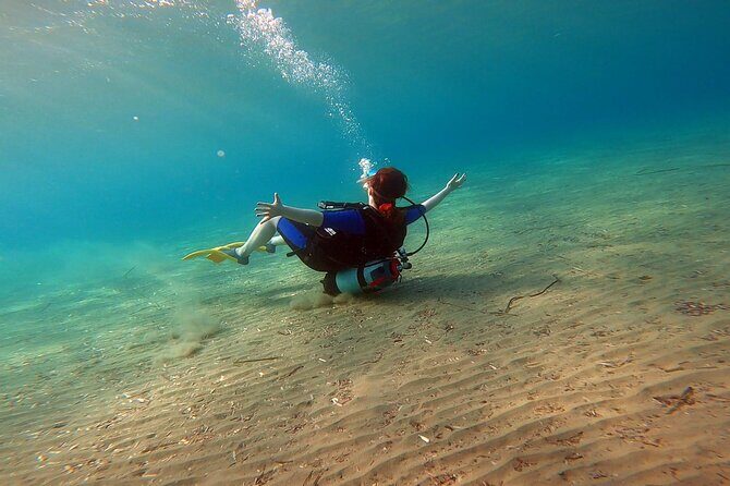 Discover Scuba Diving Experience in Nea Makri, Athens - What to Expect from the Experience