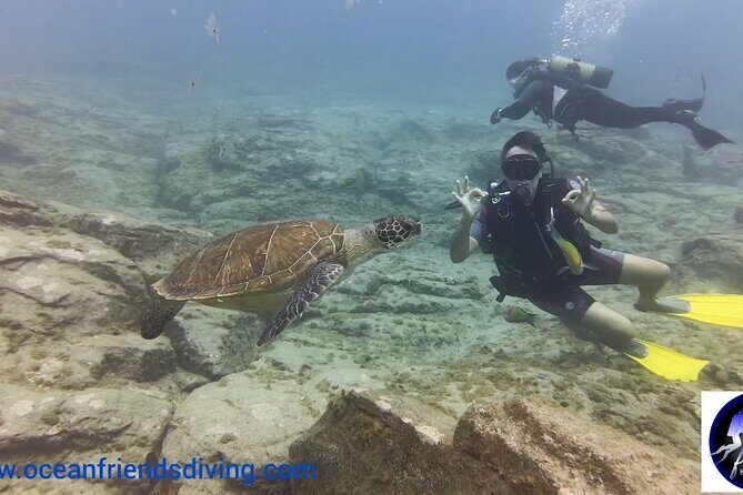 Discover Scuba Diving, free pictures included - Final Thoughts