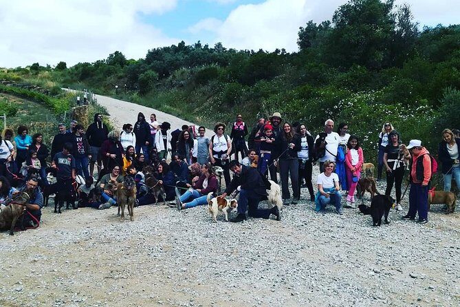 Discover Sintra's Hidden Trails: A Unique Hiking Experience - Frequently Asked Questions