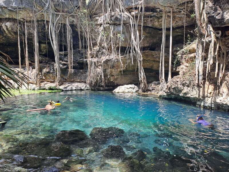 Discover the Serenity: A Tour of the Hidden Cenotes - The Itinerary in Detail