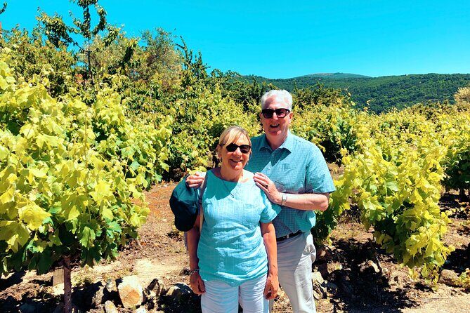 Discover the unique wine and villages of the Sierra de Salamanca - Authentic Experiences & Reviews