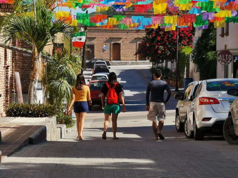 Discover Todos Santos: A Private Journey Through Culture. - Walking Tour of Todos Santos: Culture and History