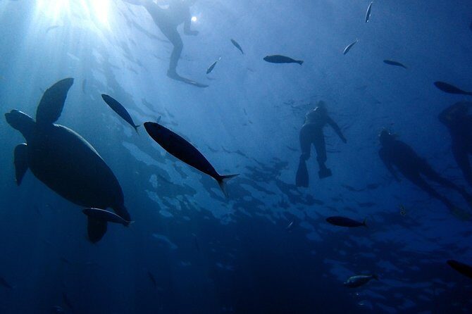 Diving Adventures - Boat and Shore Diving - Equipment and Safety: What’s Included and What to Consider