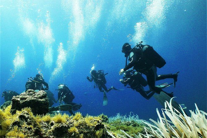 Diving with PADI 5 Star CDC Diving Resort Isola Bella Marine Park Taormina - Practical Considerations & Tips