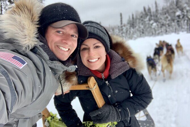 Dog Sledding Adventure in Willow, Alaska - The Value of This Experience