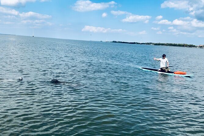 Dolphin and Manatee Adventure Tour of Merritt Island - Who Should Consider This Tour?