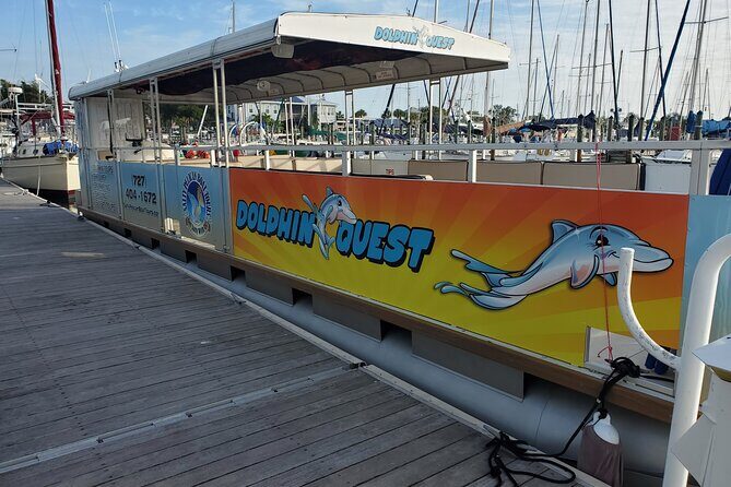 Dolphin Tour in St. Pete Beach - Who Is This Tour Perfect For?