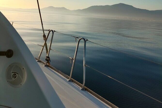 Dolphin trips on a catamaran - The Experience in Action