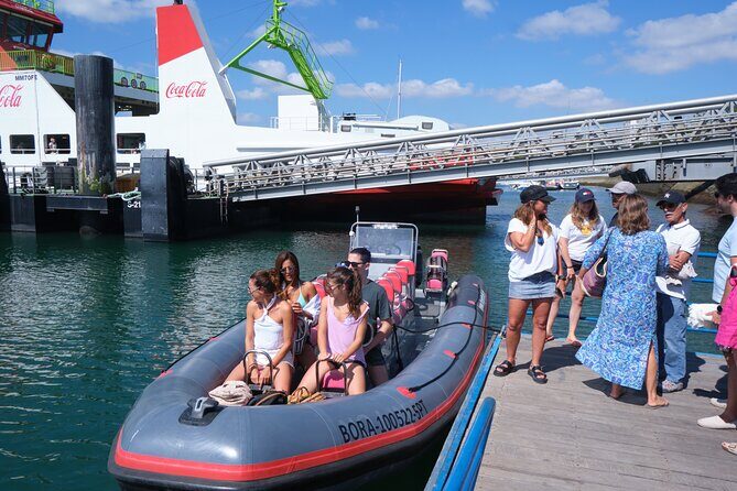 Dolphin watching in Setúbal - Frequently Asked Questions