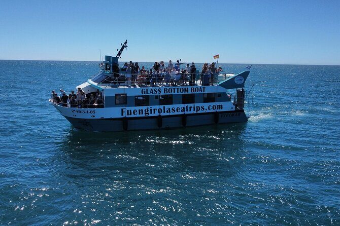 Dolphin watching on a Catamaran in Fuengirola - The Scenic Journey and Wildlife Encounters