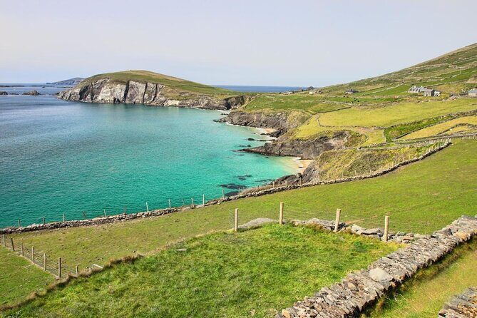 Dolphin & Whale Watching (4hrs) + Blasket Island Landing (3hrs) - Who Would Love This Tour?