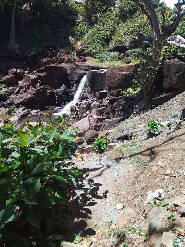 Dominica: Indian village, Hidden gems & British Battle Fort. - Practical Details and What to Expect