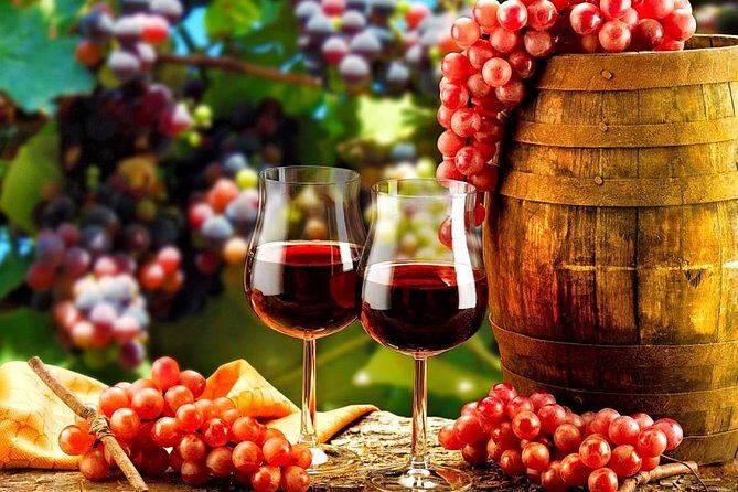 Douro Valley Private Wine Tour from Lisbon - The Caveats and Considerations