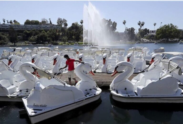 Echo Park Lake: Swan Pedal Boat Rental - Who Will Love This Experience?
