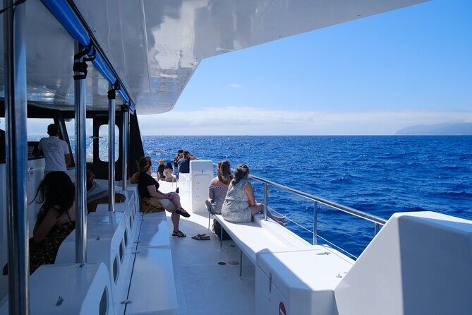 Eco-Friendly Catamaran Dolphin and Whale Watching - Wildlife Spotting and Marine Encounters