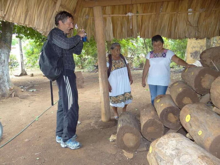Edzná,Hochob & Meliponario Divine Architecture - Why This Tour Offers Great Value