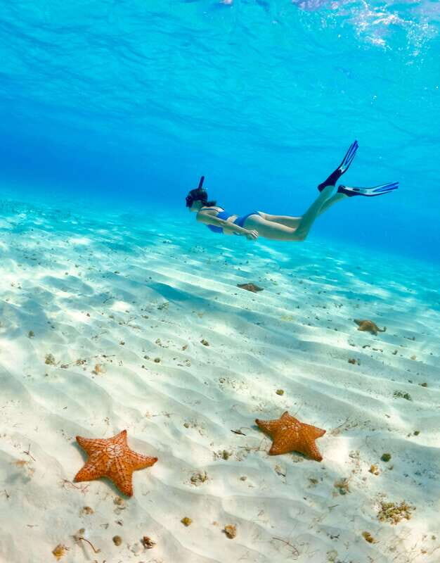 El Cielo Cozumel private snorkel tour - The Practical Details