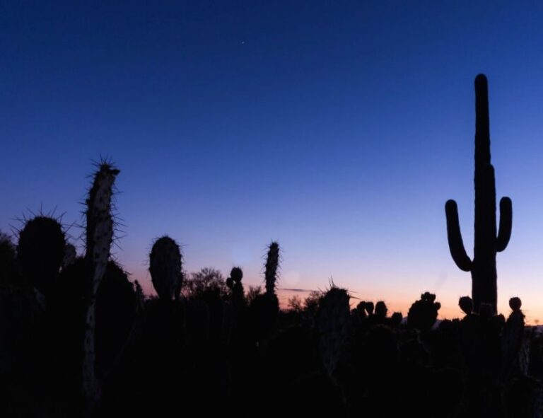 El Paso: Sun City Ghost Walking Tour - The Tour Experience: What You Can Expect