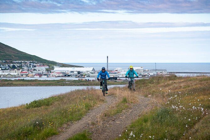 Electric Mountain biking tour in North Iceland - Authentic Insights from Reviewers