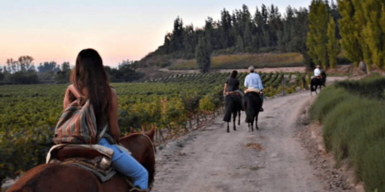 Ensenada: Horseback Riding at the Vineyards - An In-Depth Look at the Horseback Riding Tour