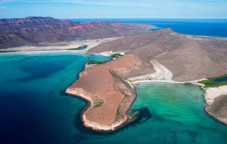 Espiritu Santo Island: Snorkeling Sea Lion Adventure - A Scenic Beach Lunch and Relaxation