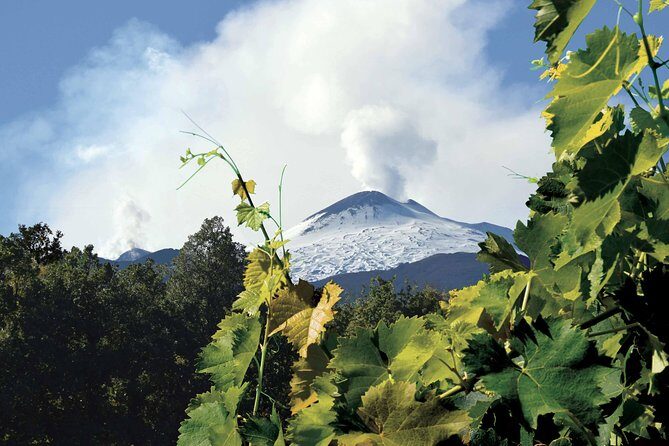 Etna and Wines Tour - Why This Tour is Worth Considering
