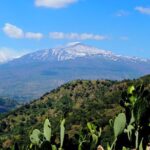 Etna Grantour - 4x4 & trekking - Private tour with lunch included - What Reviewers Say
