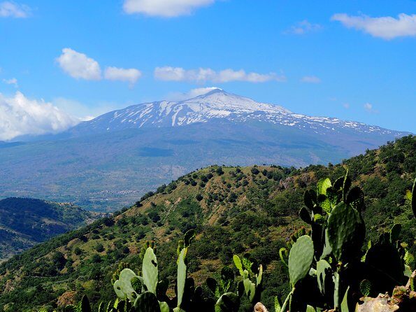 Etna Grantour - 4x4 & trekking - Private tour with lunch included - What Reviewers Say