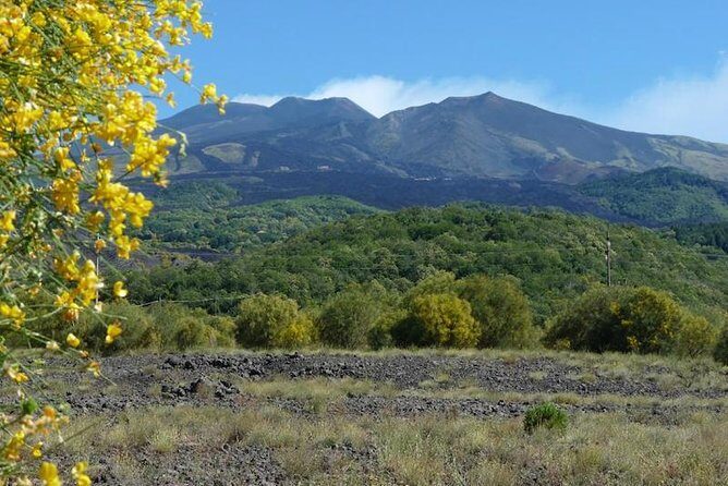 Etna morning tour from Syracuse - Final Thoughts